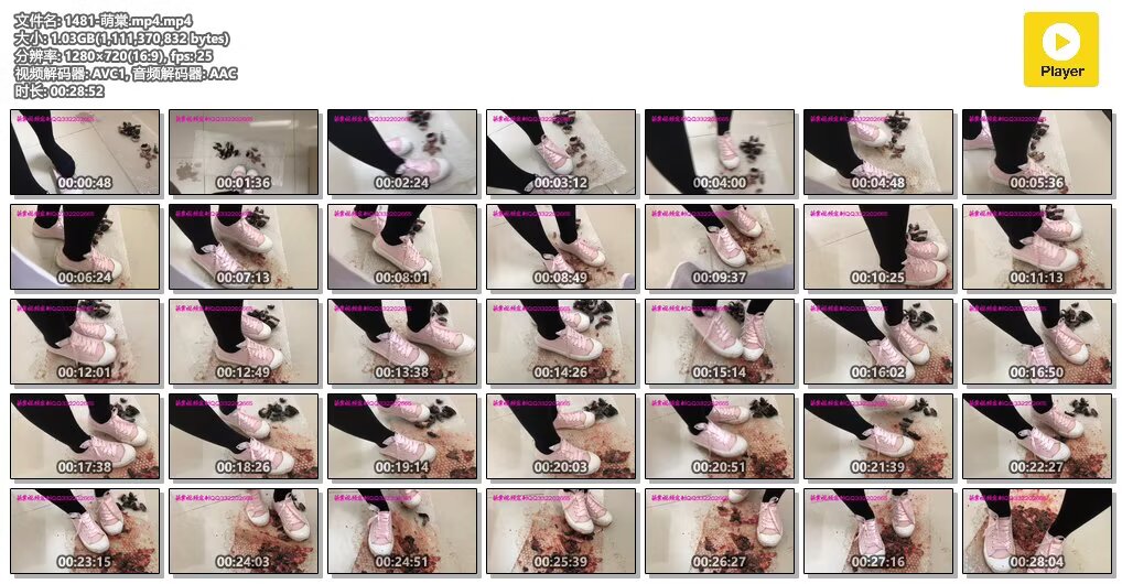 1481-萌棠mp4mp4