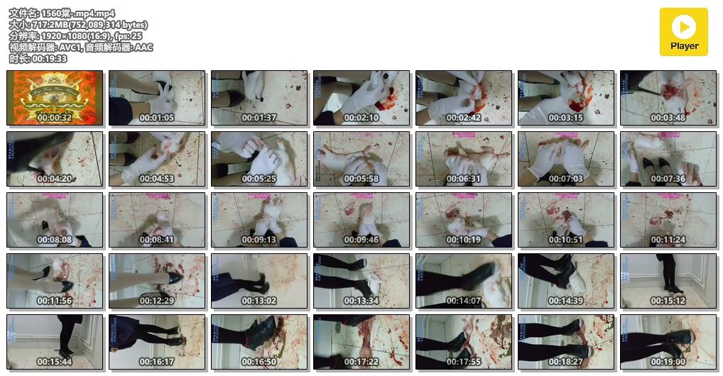 1560棠-mp4mp4N