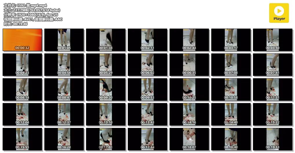 1592-棠,mp4mp4