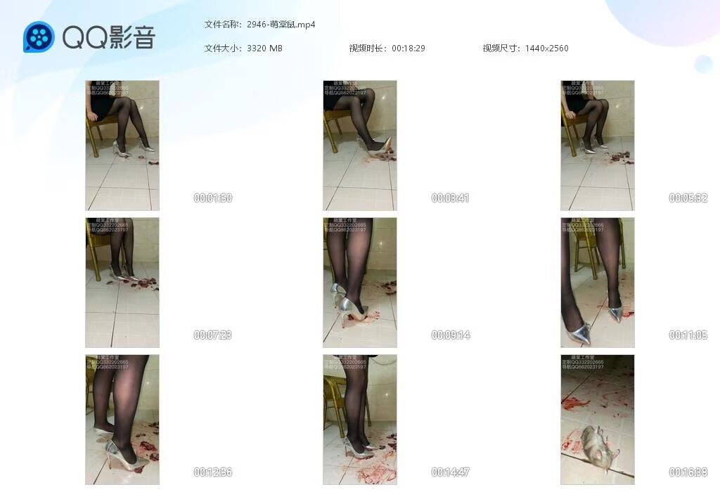 2946-萌棠鼠202