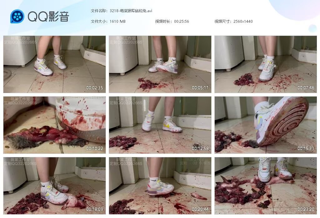 3218-萌棠狠跺鼠