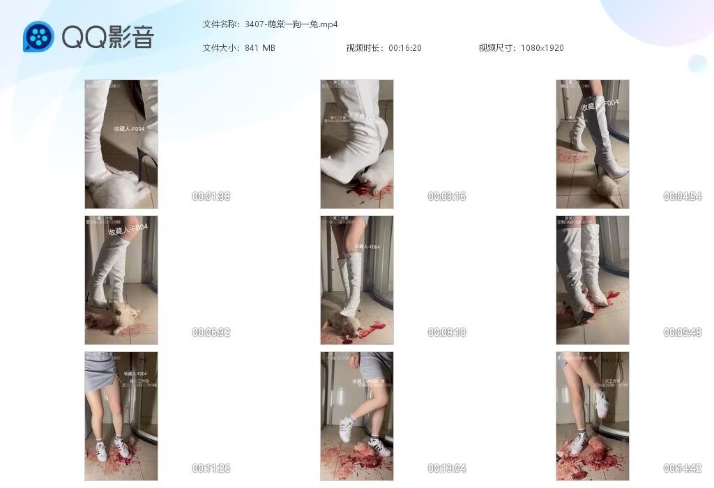 3407-萌棠一狗一