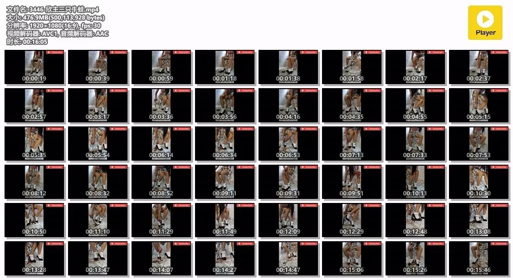 3446