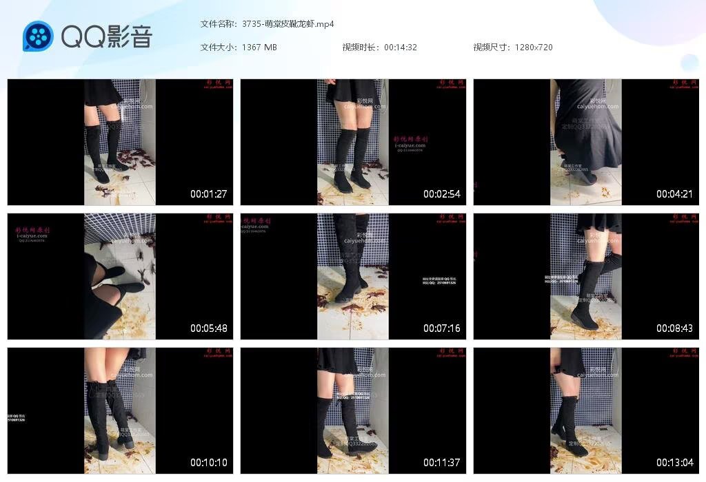 3735-萌棠皮靴龙