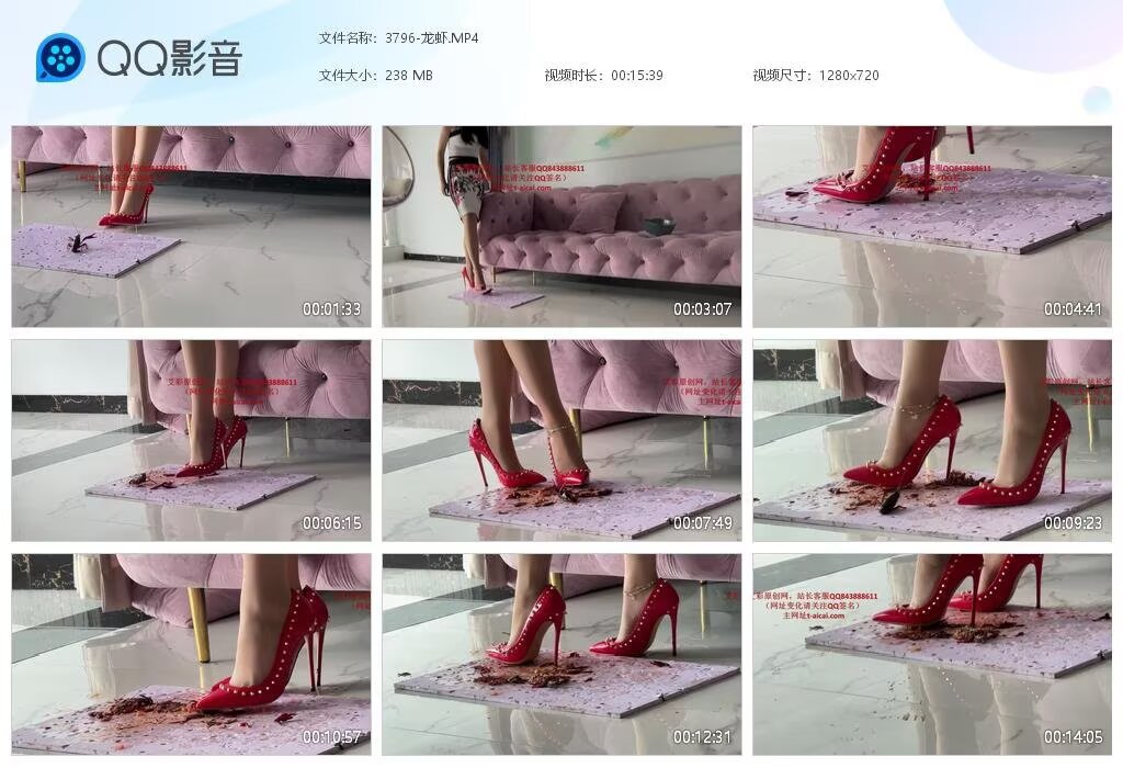 3796-龙虾20231