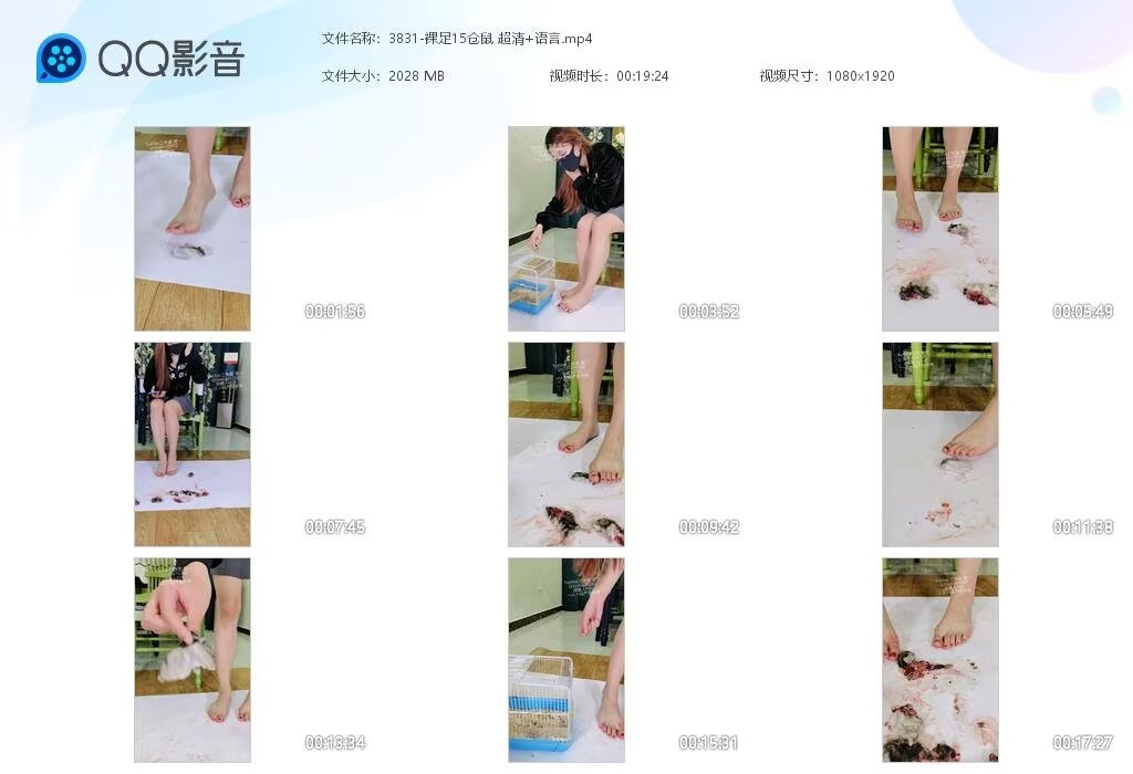 3831-裸足15仓鼠