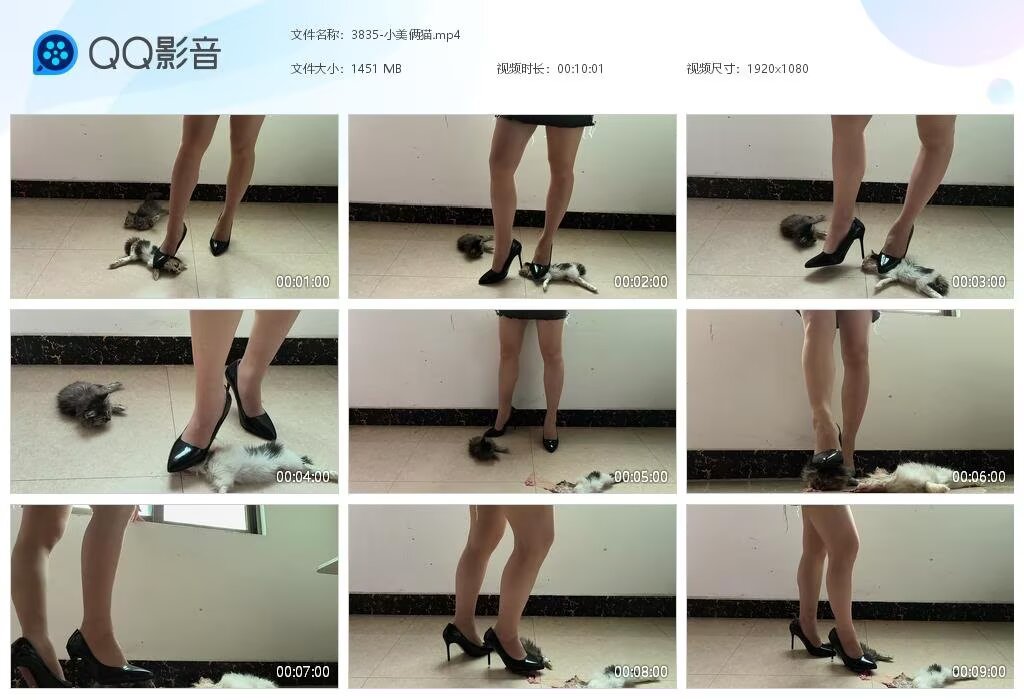 3835-小美俩猫2