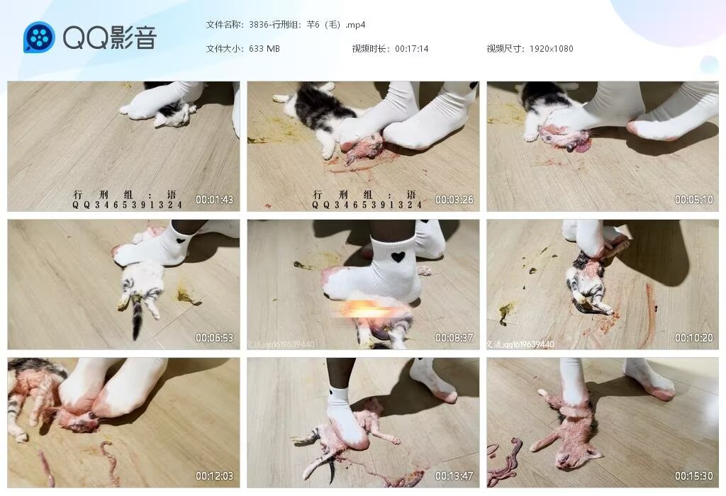 3836-行刑组芊