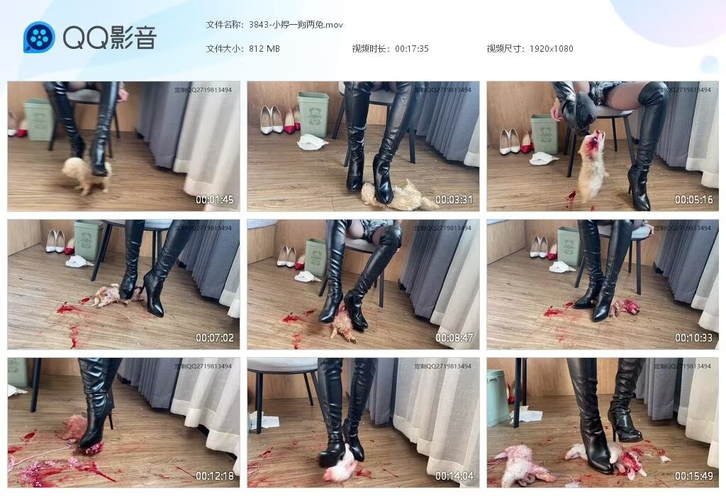 3843-小婷一狗两