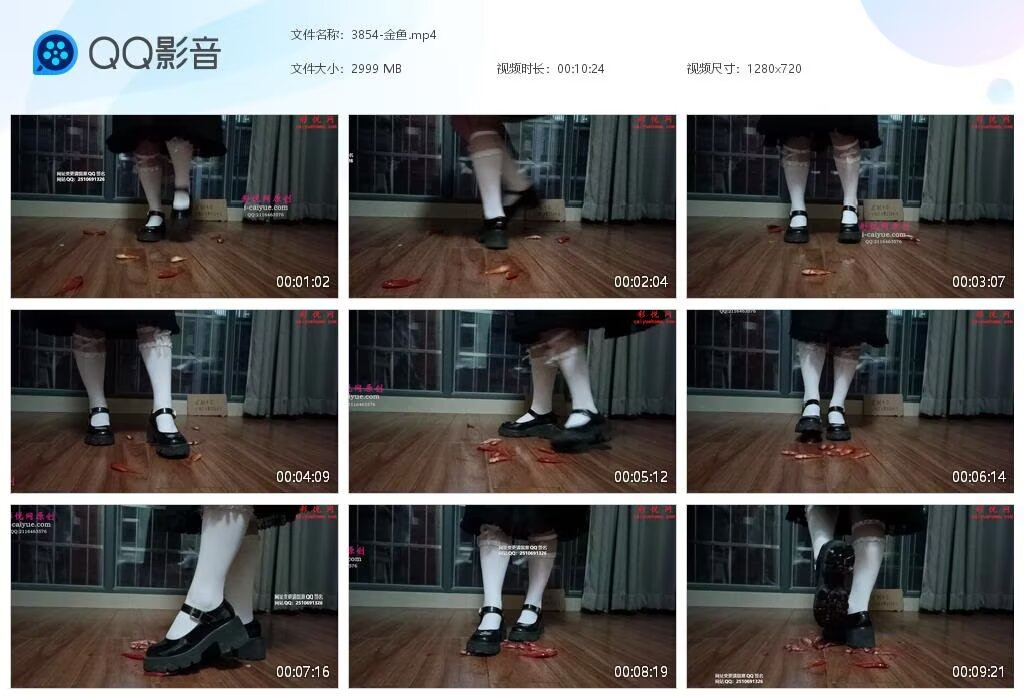 3854-金鱼20231