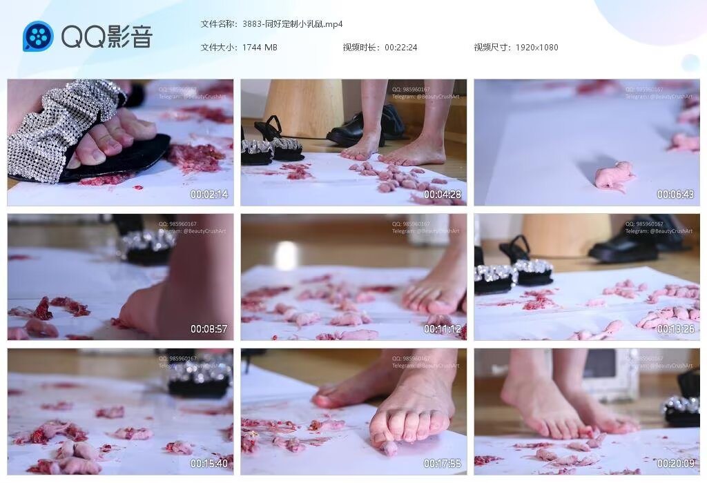 3883-同好定制小
