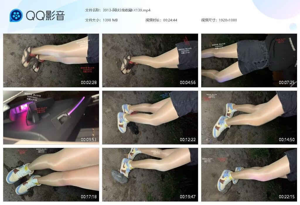 3913-阿秋3兔收藏