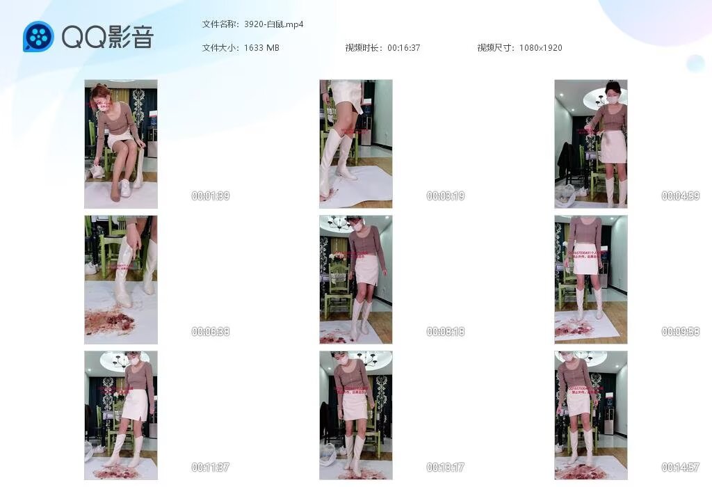 3920-白鼠20231