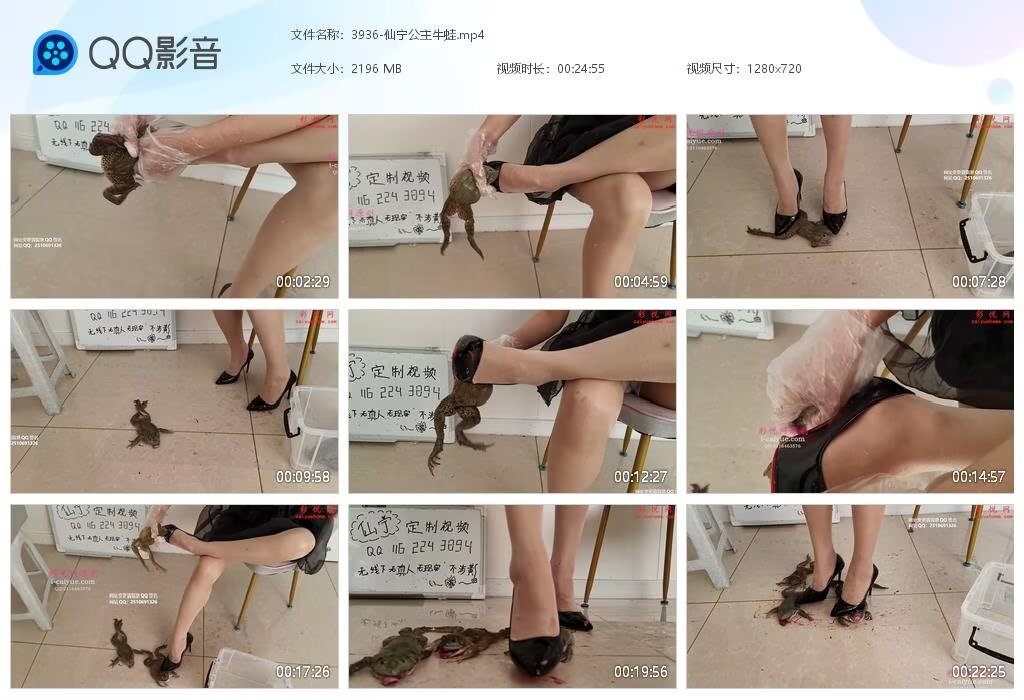 3936-仙宁公主牛