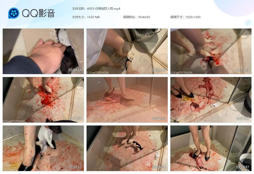 4003-行刑组双人