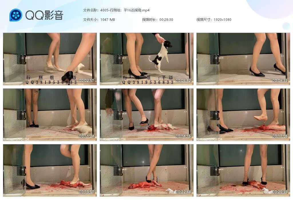 4005-行刑组芊