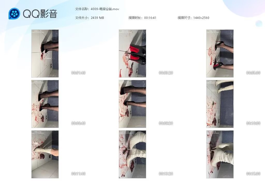 4009-萌棠仓鼠2