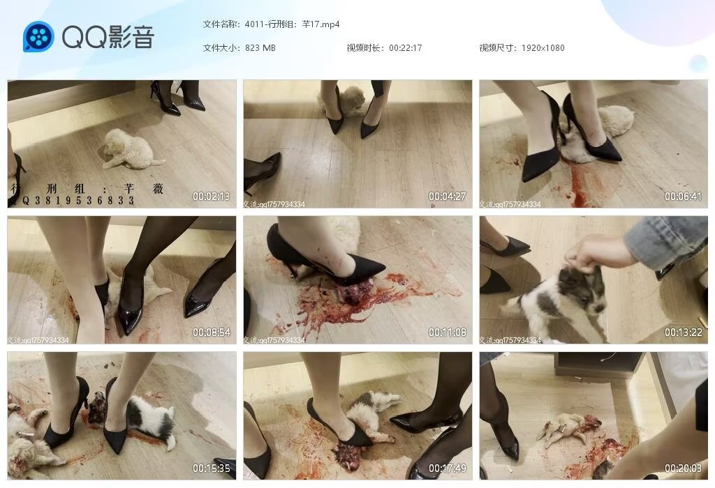 4011-行刑组芊
