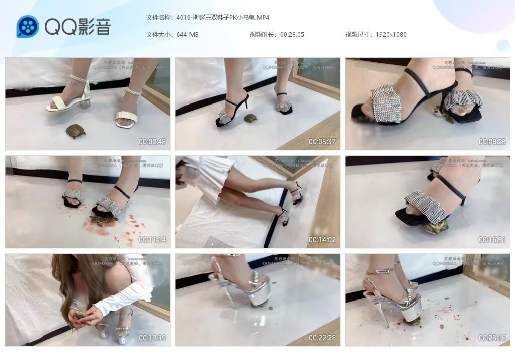 4016-昕馨三双鞋