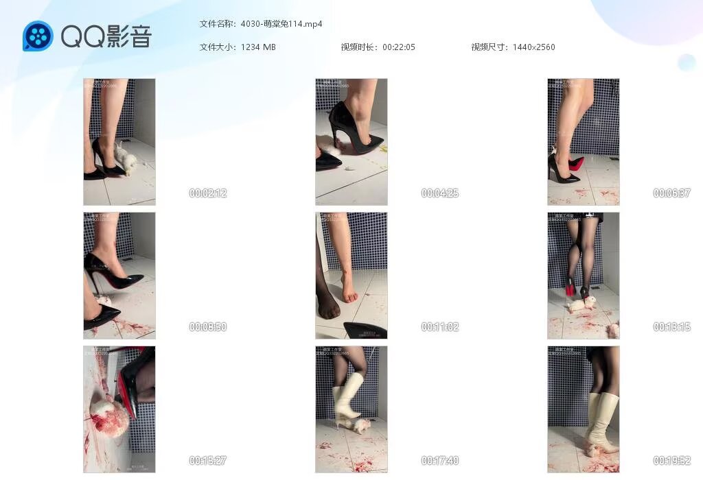 4030-萌棠兔114