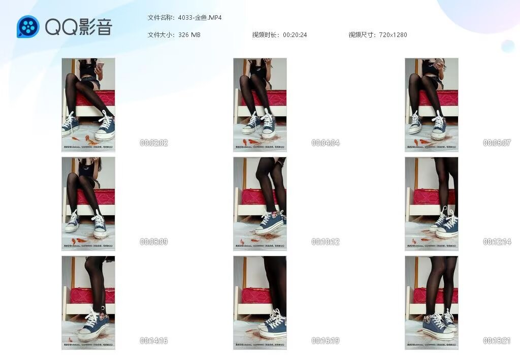 4033-金鱼20240