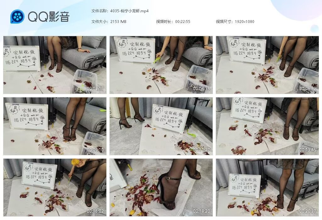 4035-仙宁小龙虾
