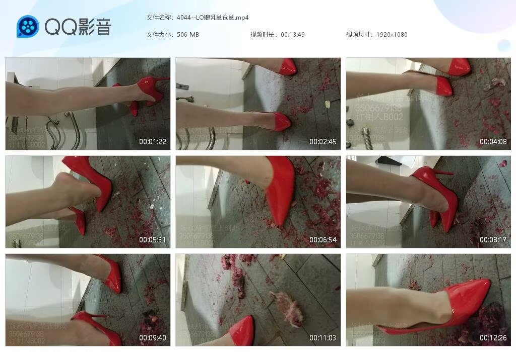 4044--LO娘乳鼠仓鼠