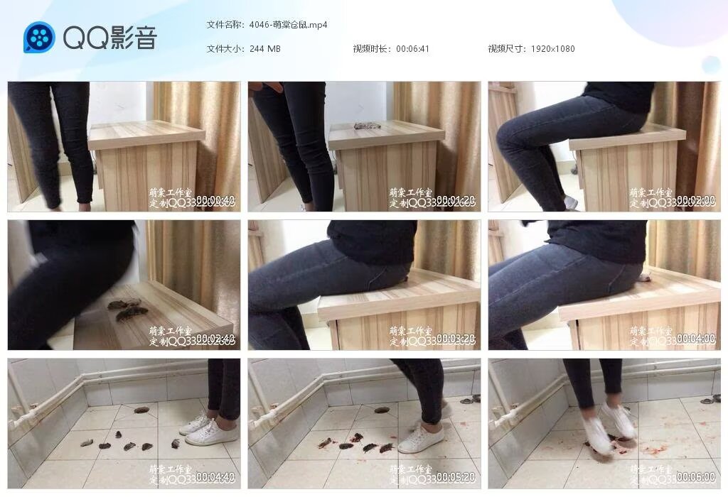 4046-萌棠仓鼠2