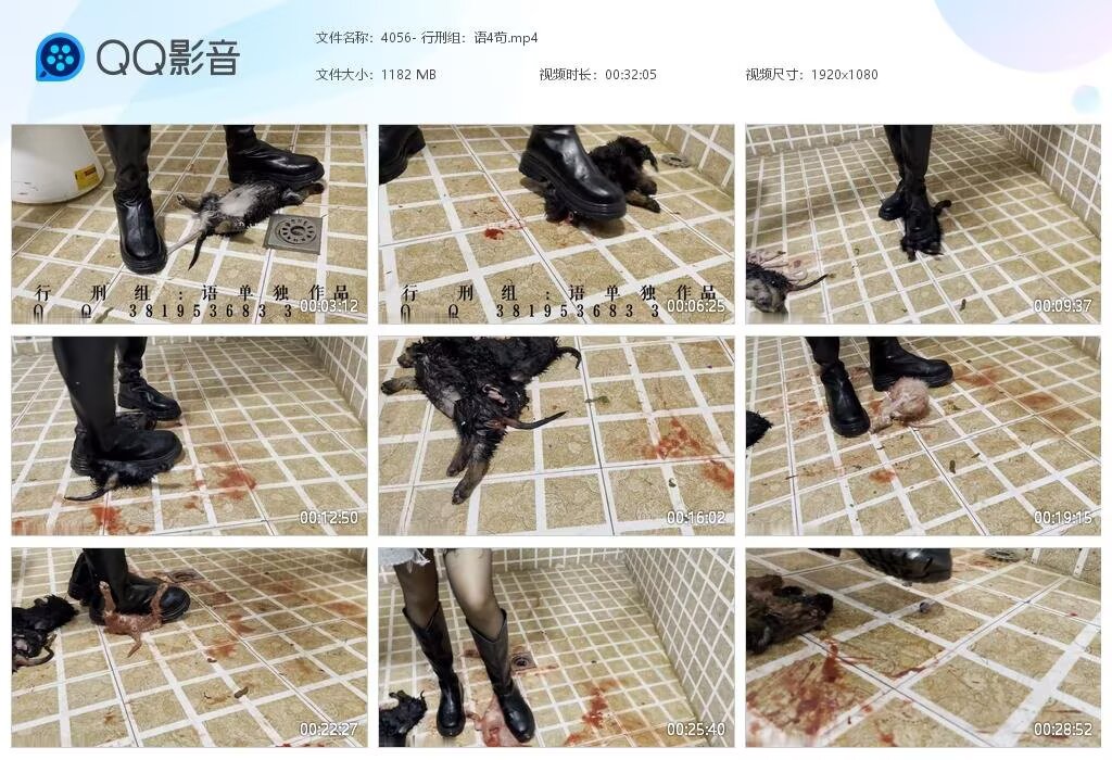 4056-行刑组语