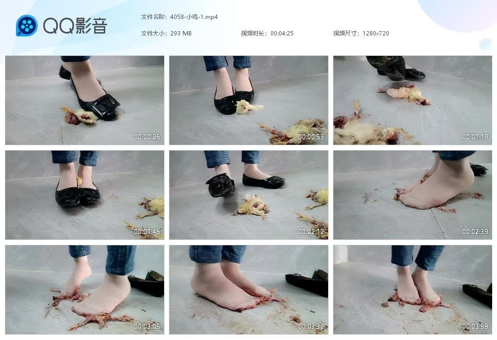 4058-小鸡-1202