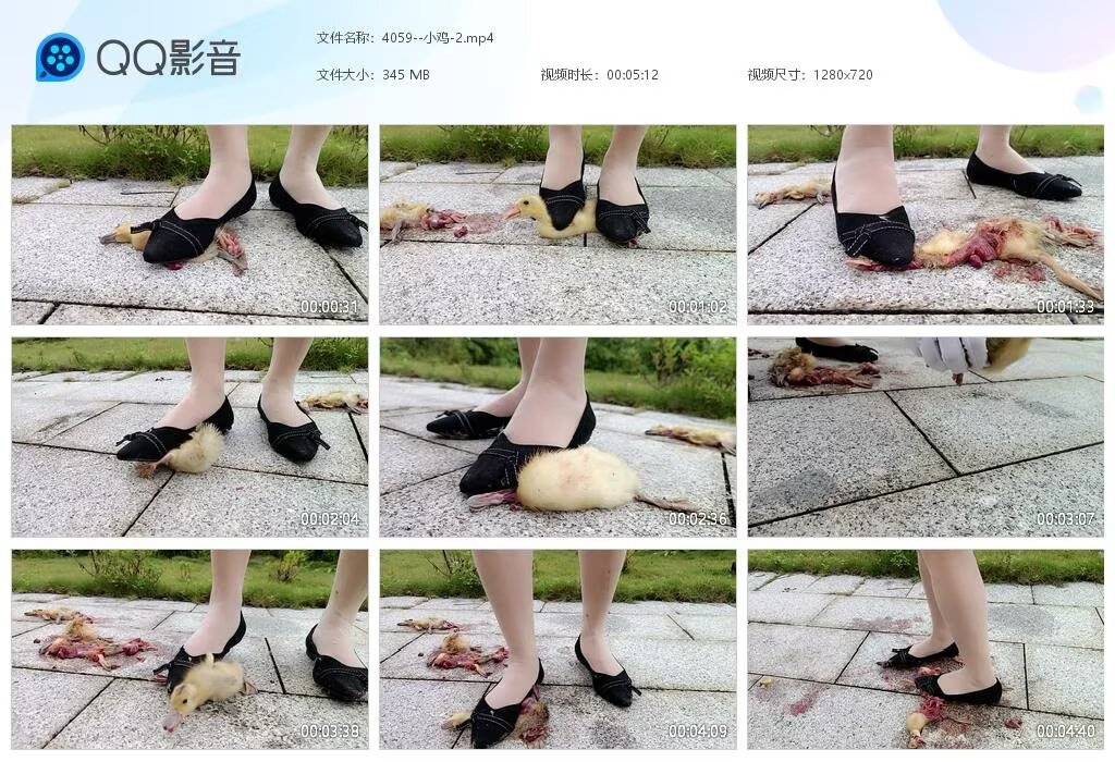 4059--小鸡-220