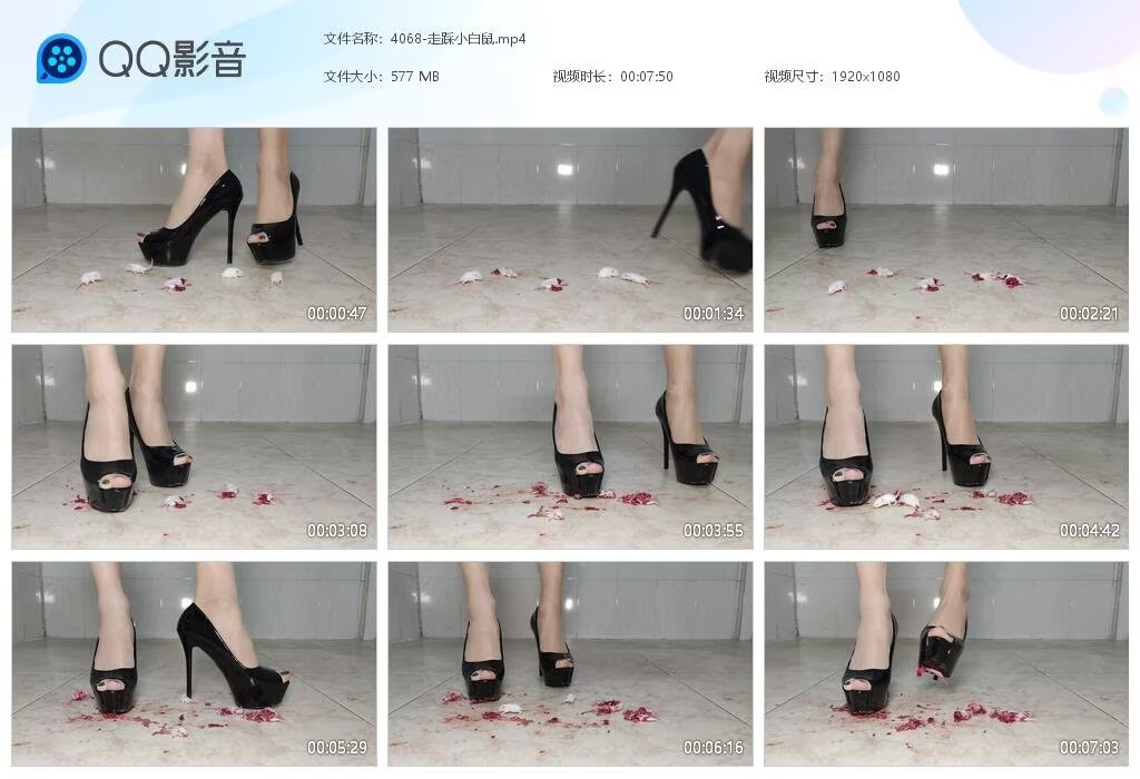 4068-走踩小白鼠