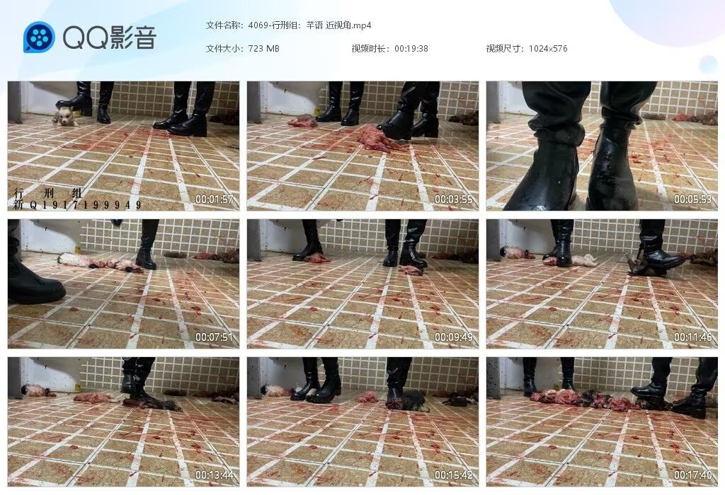 4069-行刑组芊