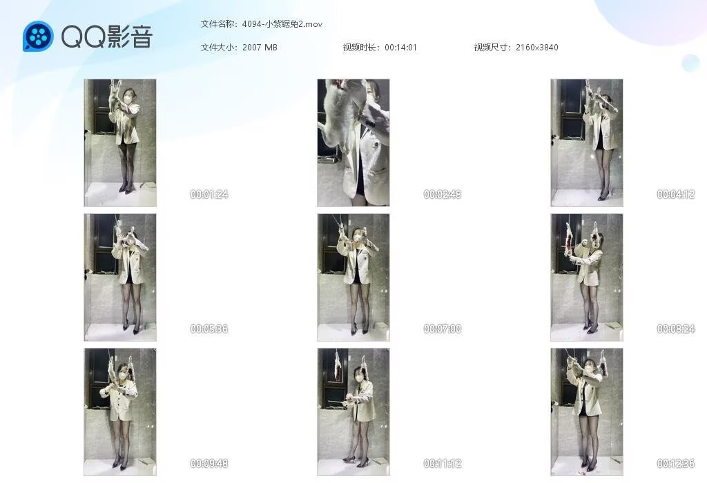 4094-小紫锯免2