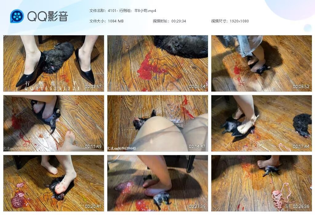 4101-行刑组芊