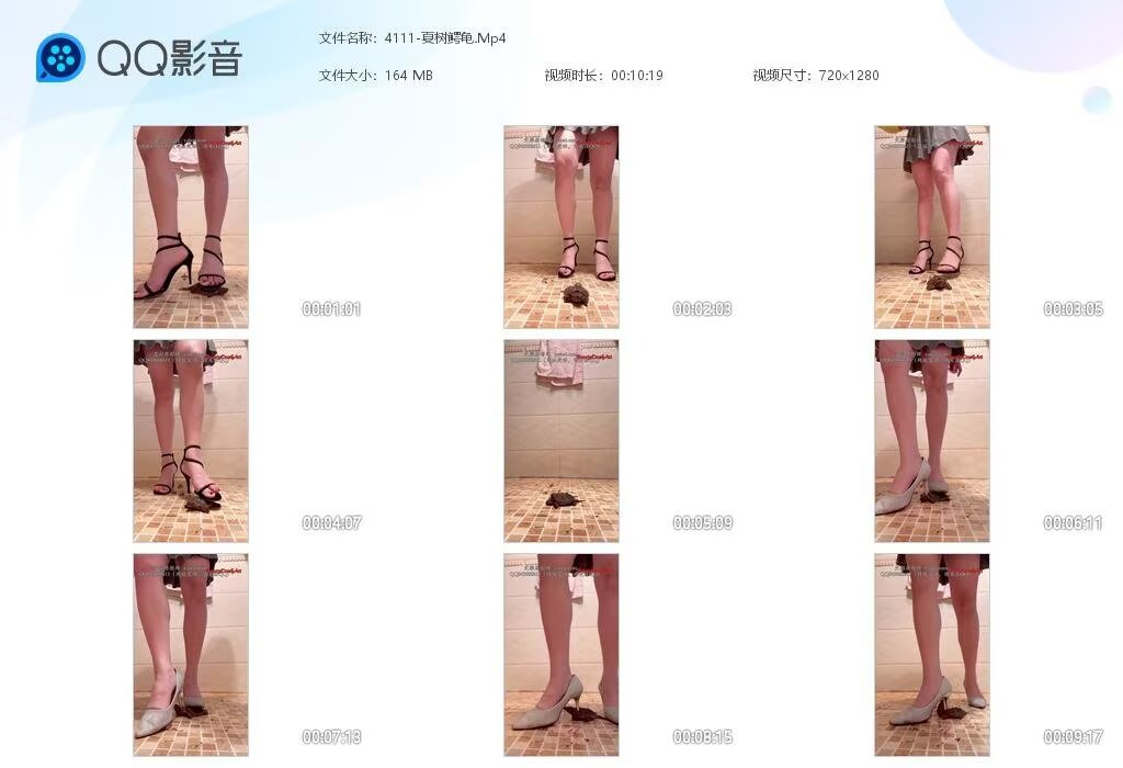 4111-夏树鳄龟2