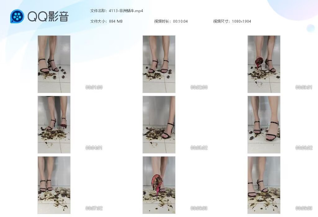 4113-非洲蜗牛2
