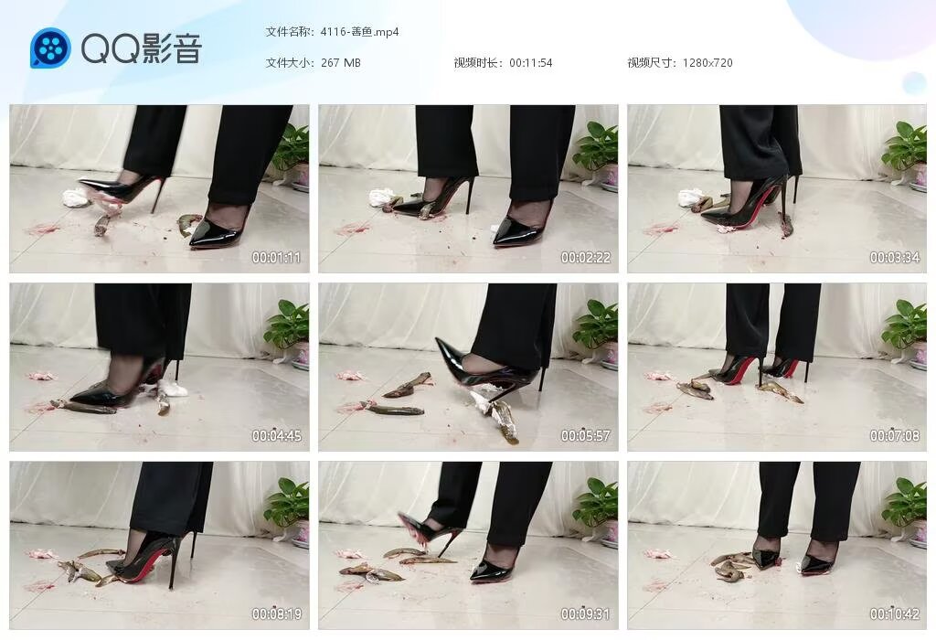 4116-善鱼20240