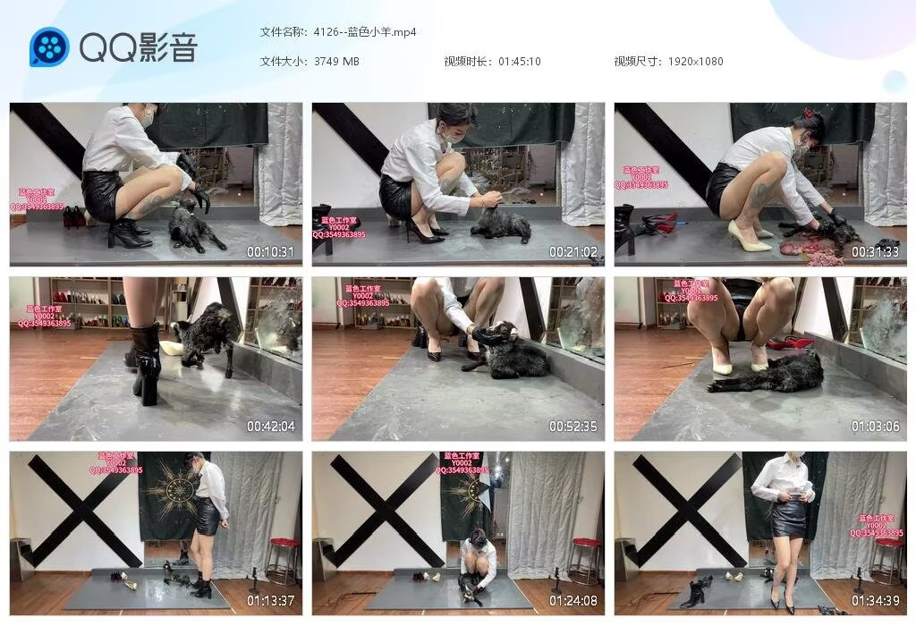 4126--蓝色小羊