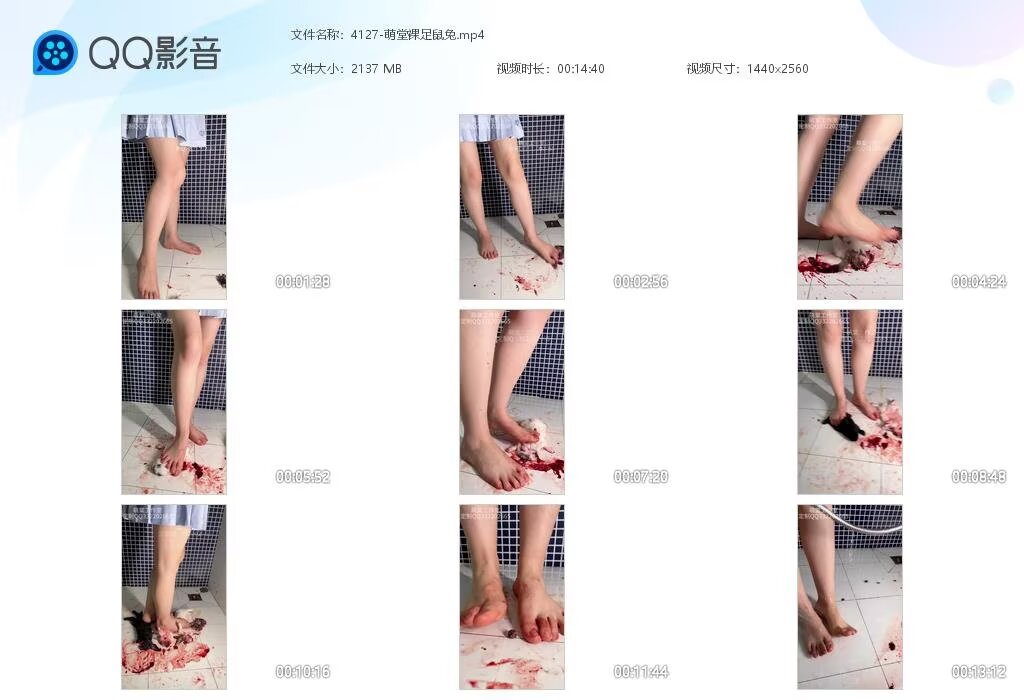 4127-萌堂裸足鼠