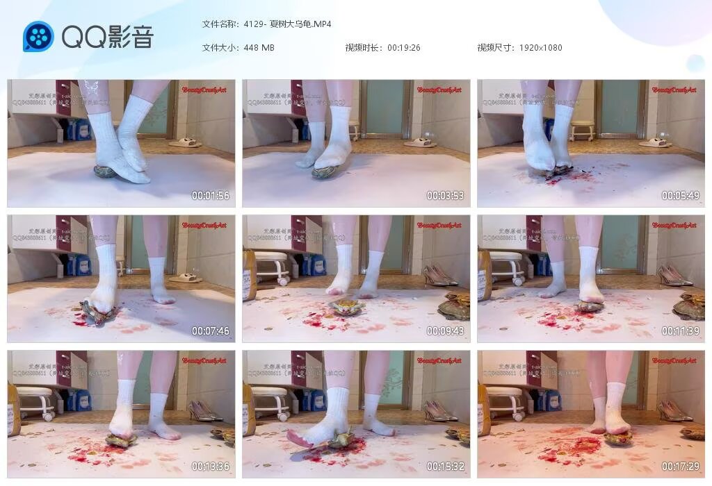 4129-夏树大乌龟