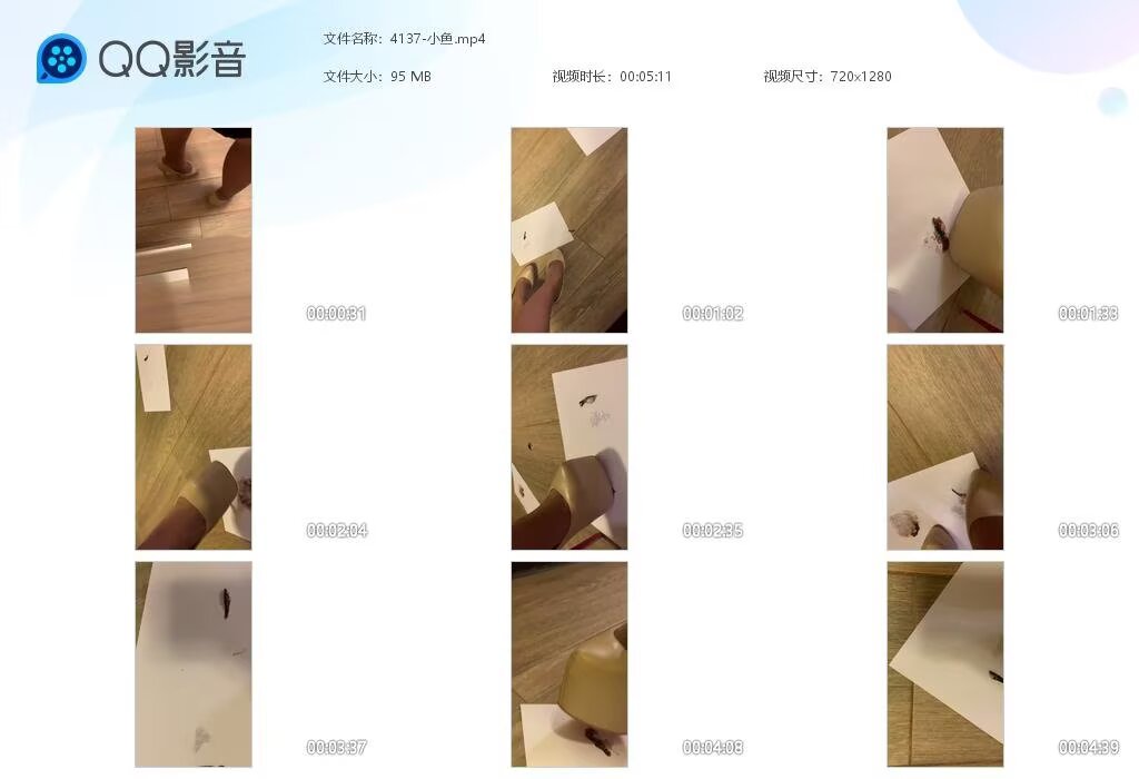4137-小鱼20240