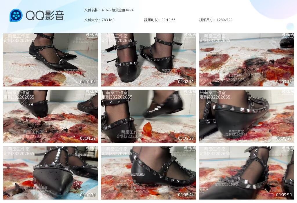 4167-萌棠金鱼2