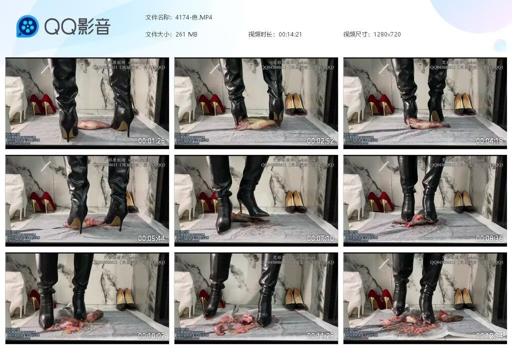 4174-鱼2024042