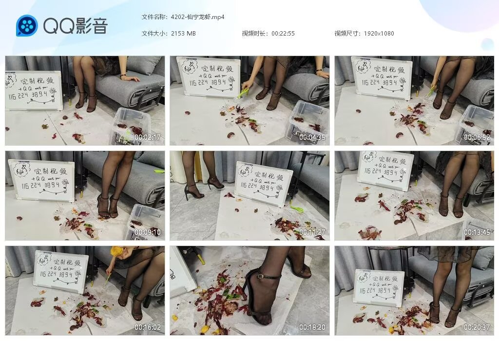4202-仙宁龙虾2