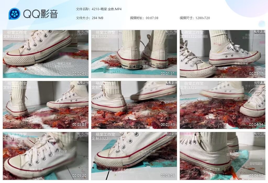 4210-萌棠金鱼2