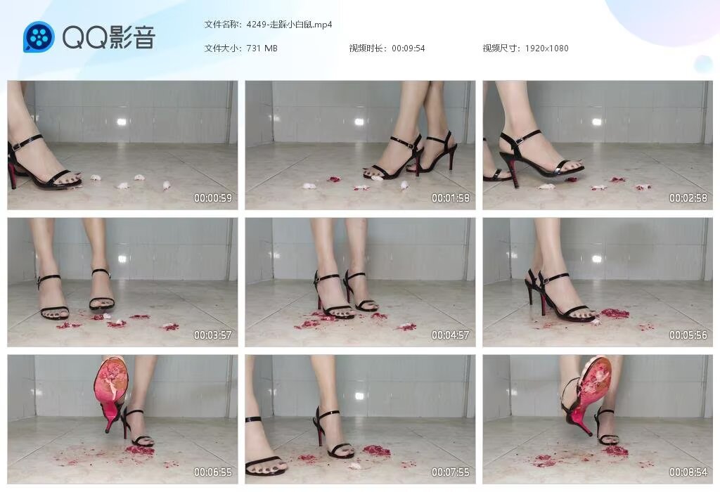4249-走踩小白鼠