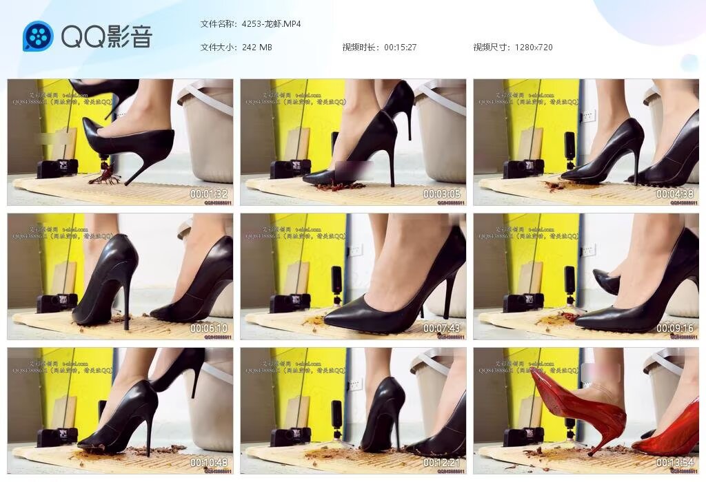 4253-龙虾20240