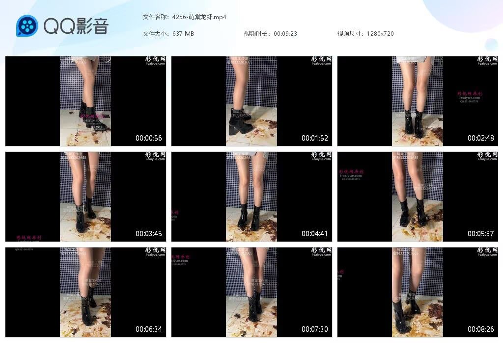 4256-萌棠龙虾2