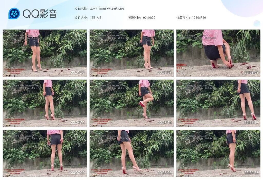 4257-萌萌户外龙